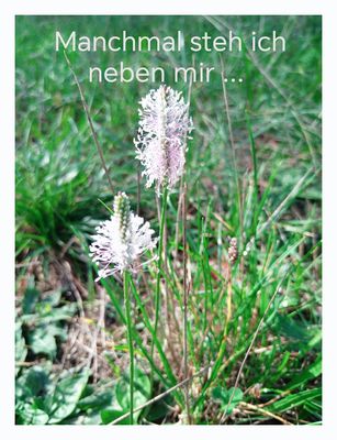 ... und frag mich : " verlang ich nicht zuviel von mir? " 