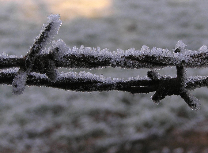 . . . und Friede den Menschen auf Erden