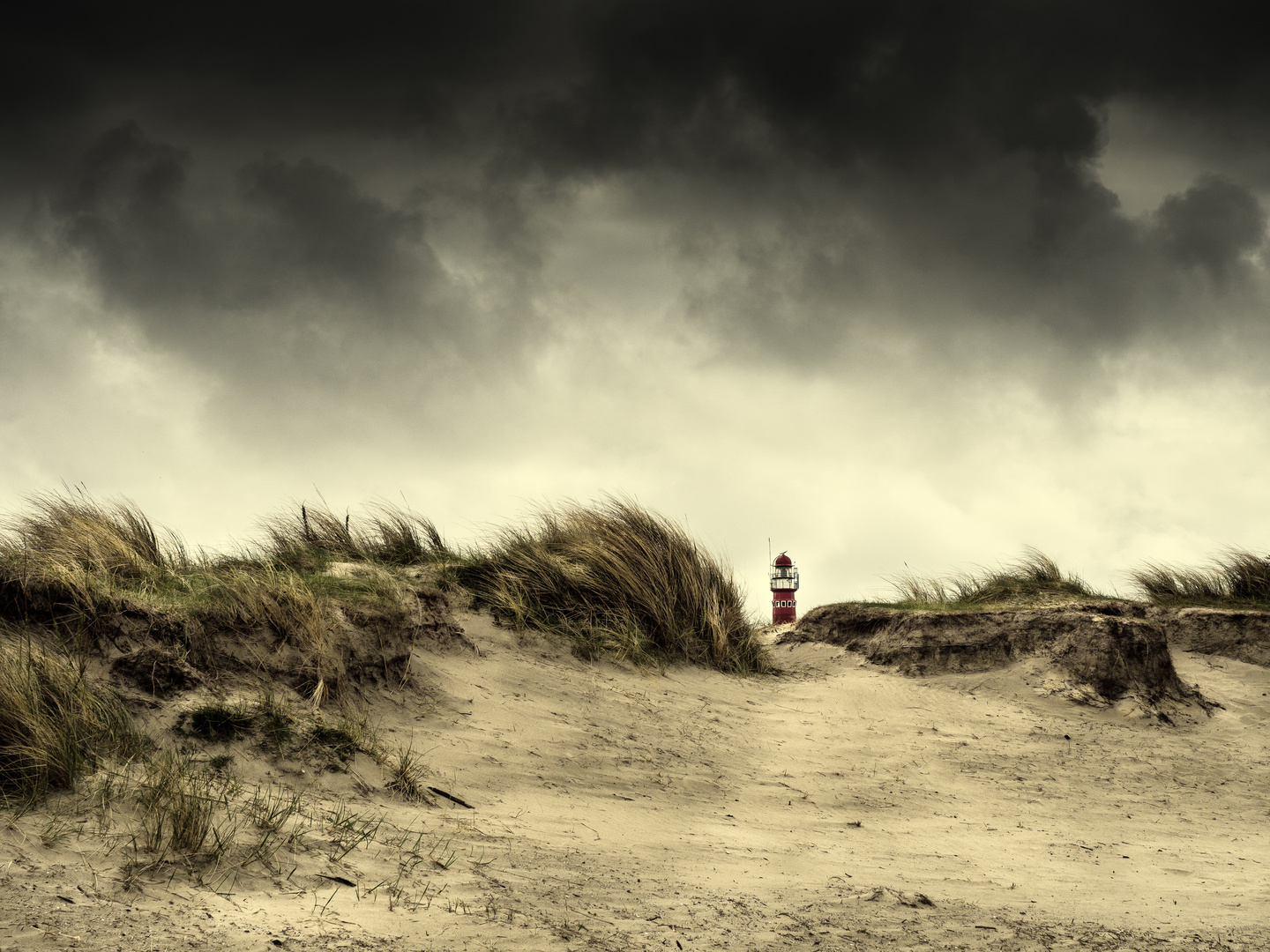 Und für immer weht der Wind