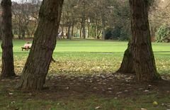 ...und Gaby wartet im Park