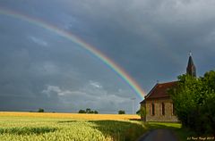 Und Gott sprach: Das ist das Zeichen des Bundes, ...