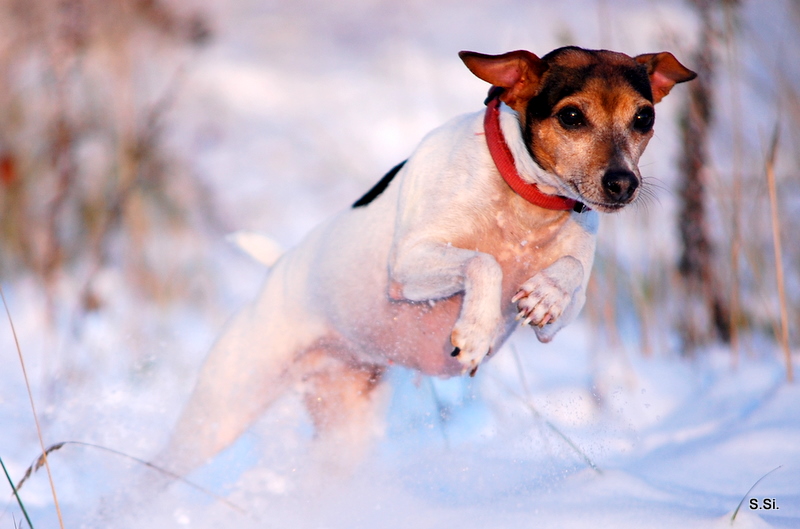 und Hepp.....Spaß im Schnee........