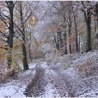 Und heute hat der Winter schon begonnen (y hoy ya ha llegado el invierno)