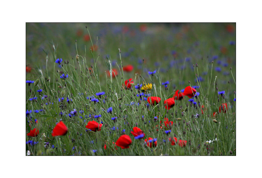 ...und heute kommt noch eine Farbe dazu...