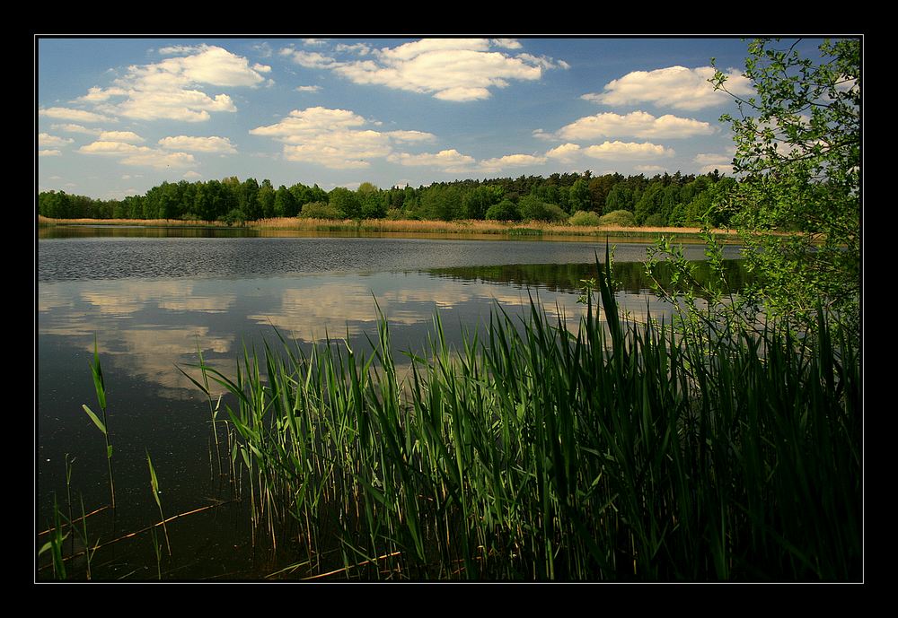 und heute muß es ein Schwimmbad sein...