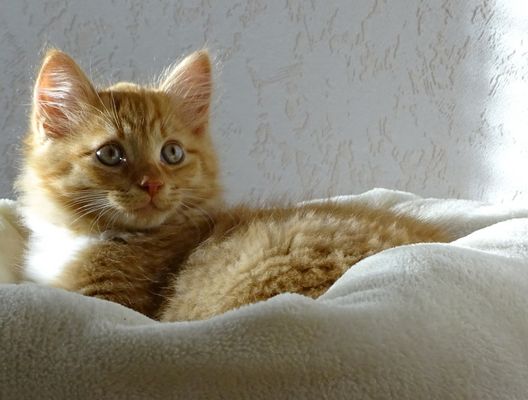 ....und heute nochmal