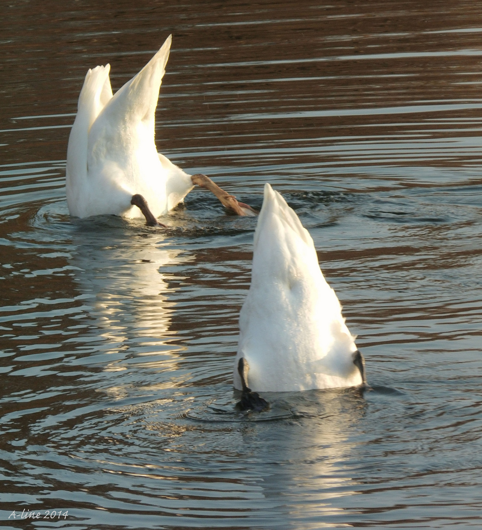 ...und heute wird der Hals gewaschen... ;-)