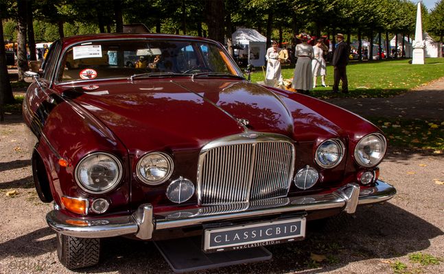 ... und hier bin ich mal  n i c h t  in die Hocke gegangen :-))