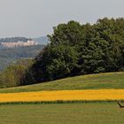 und hier das Dritte Bild mit der Festung Königstein in der Ferne...