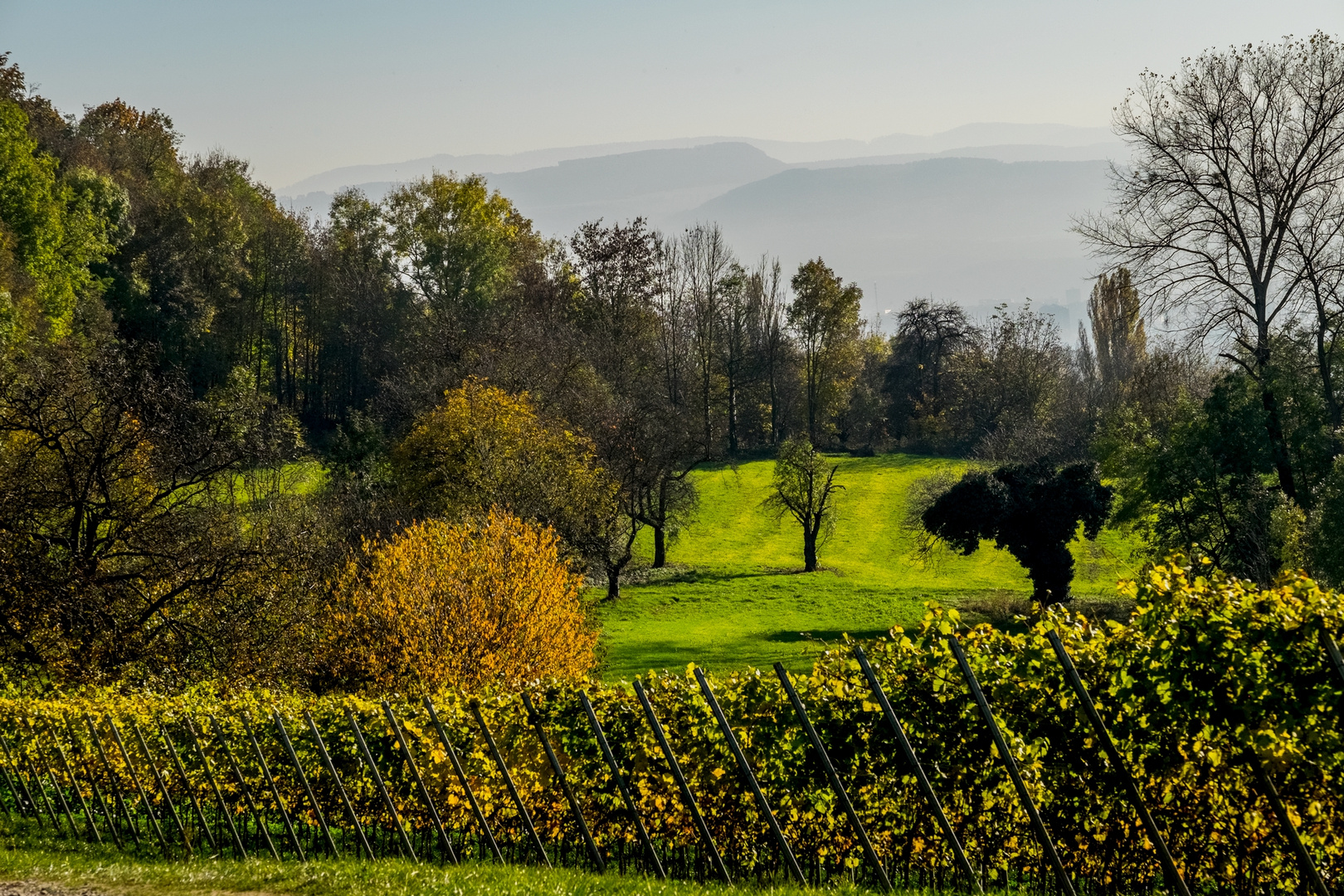 ...und hinten fängt der Schweizer Jura an