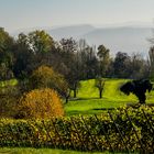 ...und hinten fängt der Schweizer Jura an