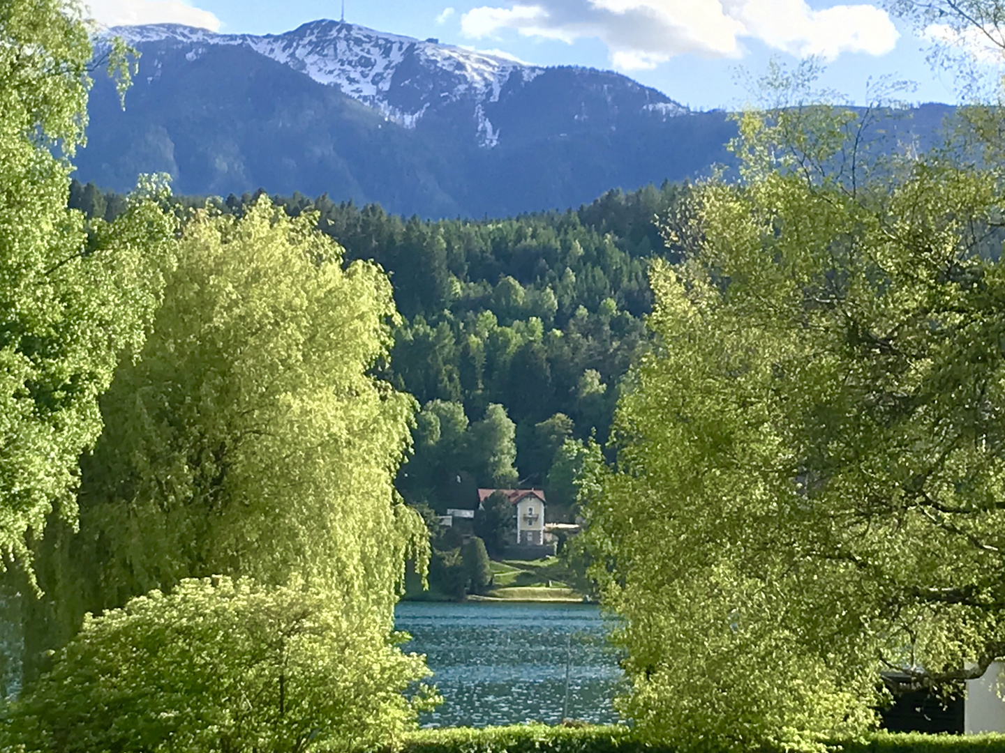 Und hinter den ergrünten Bäumen der See