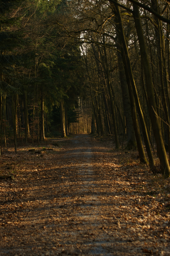 Und ich geh meinen Weg