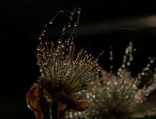 Und ich sag noch...........