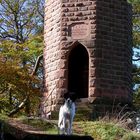 und ich war auch mit auf dem Rehbergturm ...