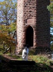 und ich war auch mit auf dem Rehbergturm ...