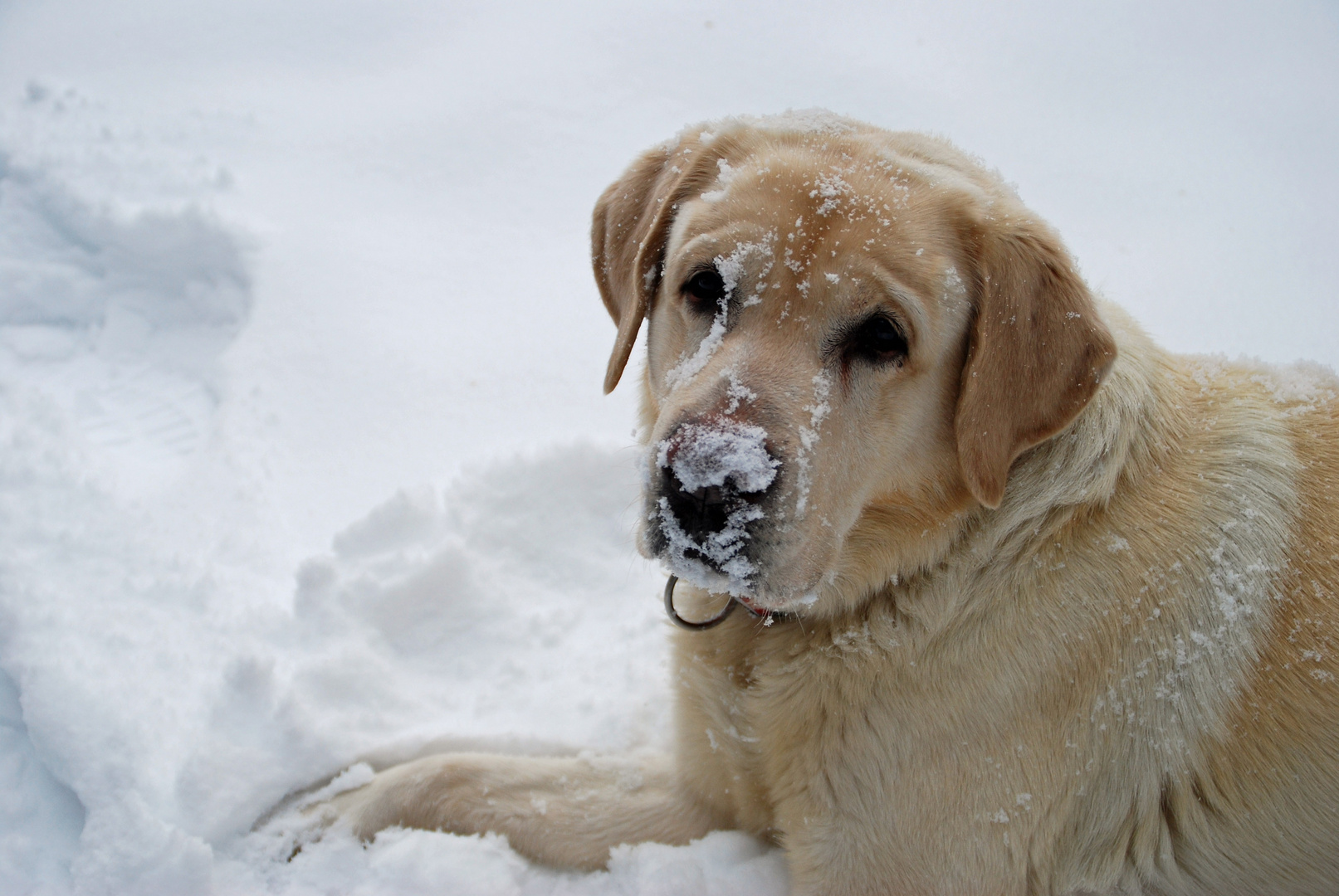 ...und ihr sagt immer Schnee ist kalt...