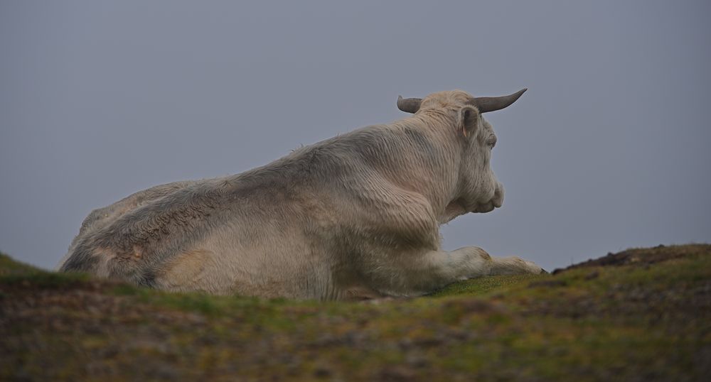 und ihr weiser Blick durchdrang die Nebel der Vergangenheit