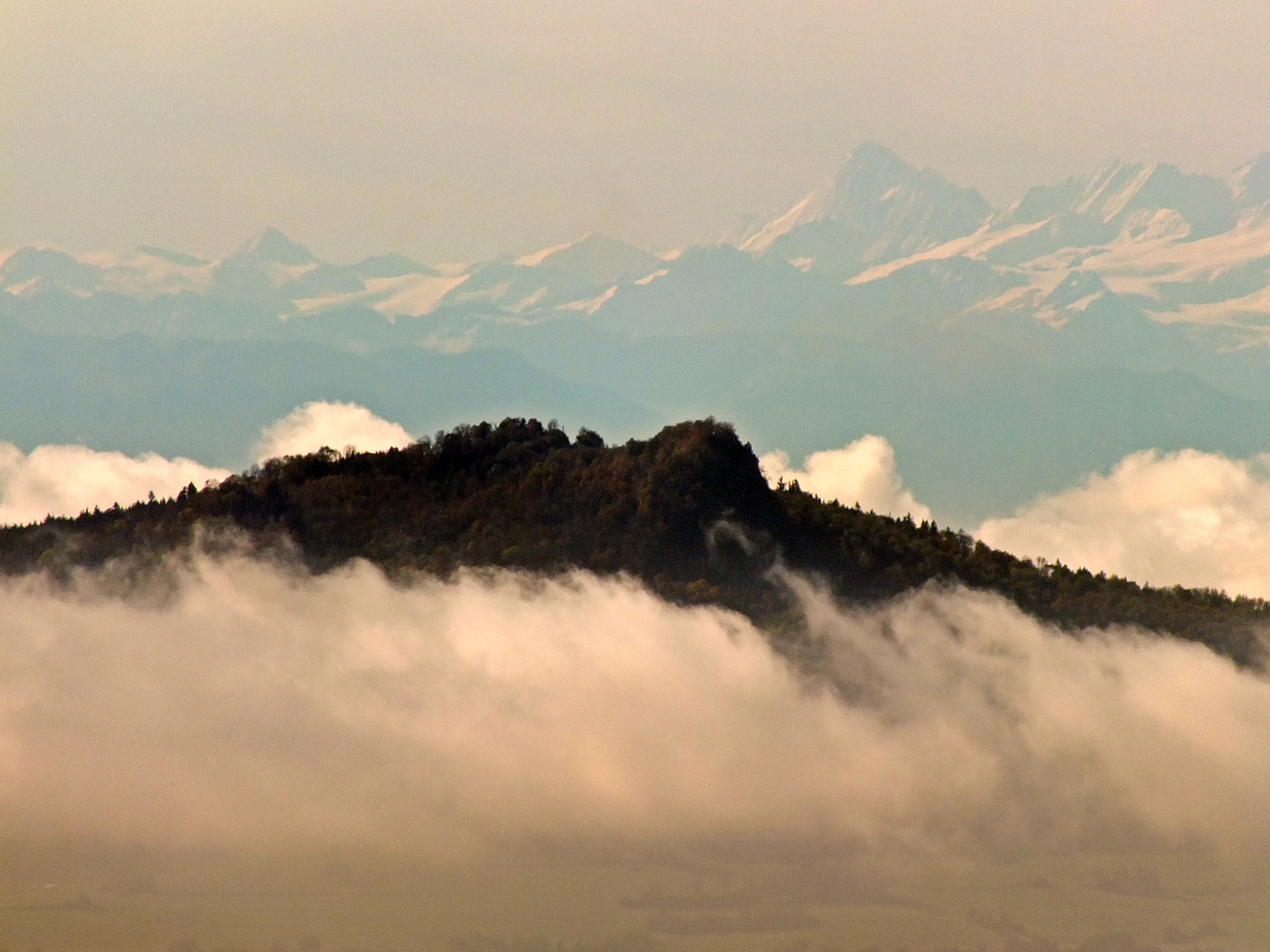 ...und im Hintergrund - die Alpen.