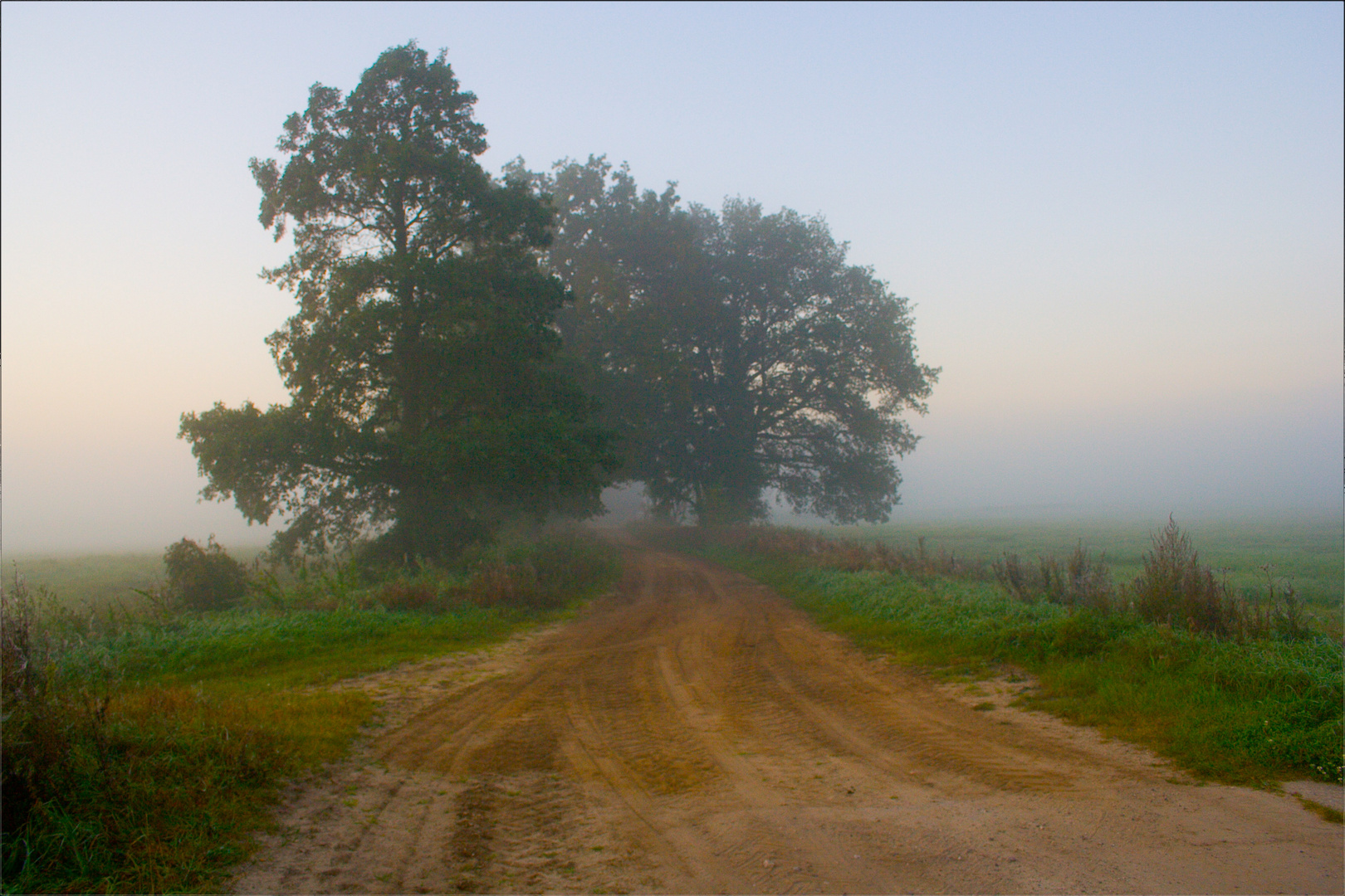 ... und im Nebel ..... Mecklenburg