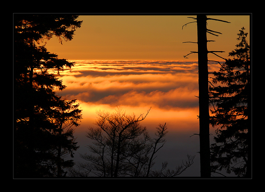 und im Tal der Nebel....(1)