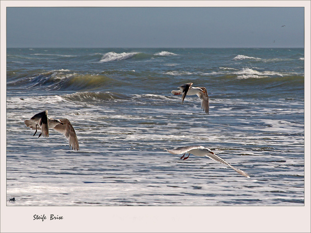 Und immer gegen den Wind