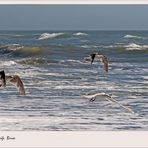 Und immer gegen den Wind