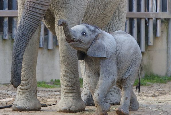 Und immer hübsch fröhlich bleiben...