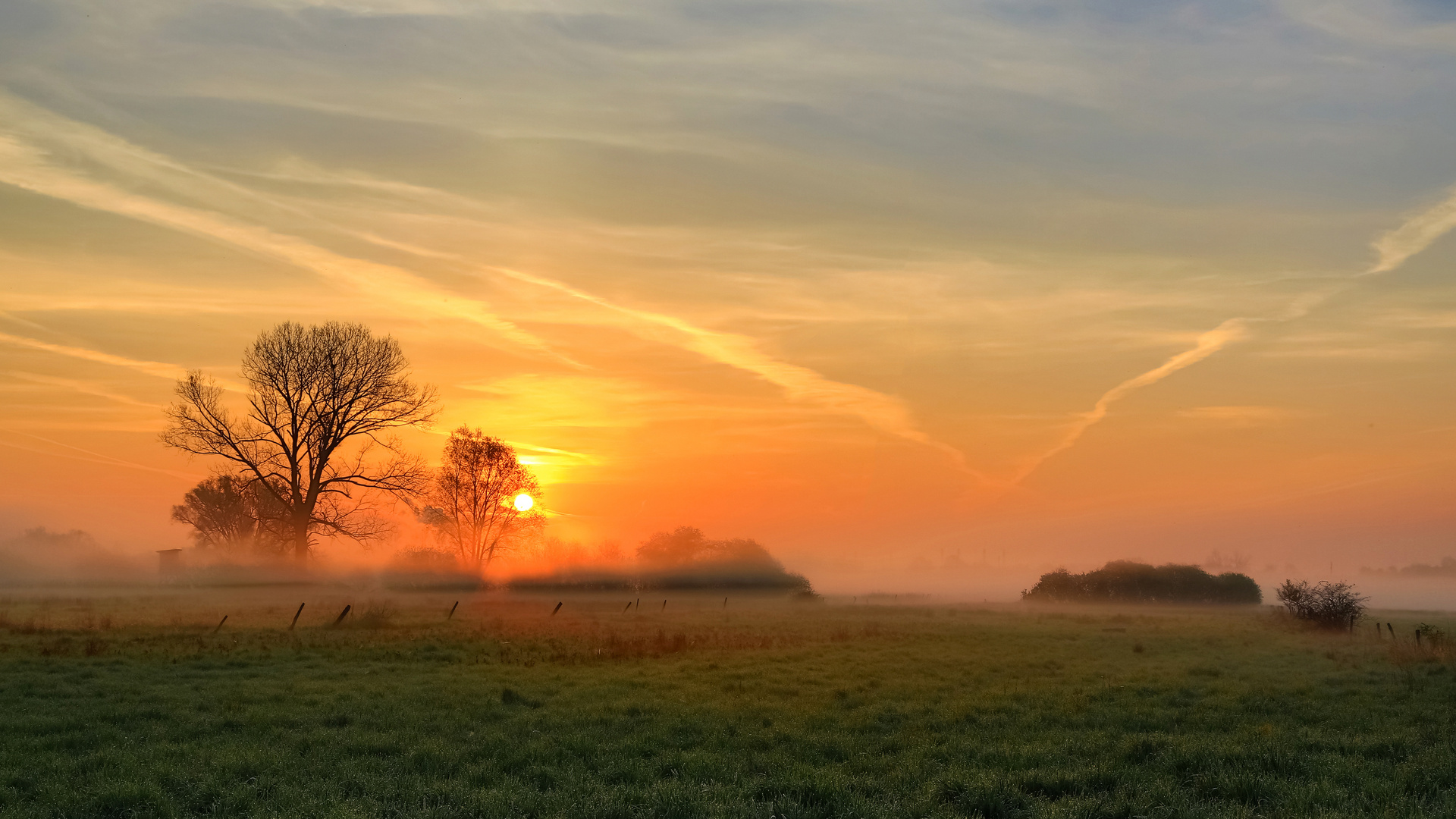 Und immer immer wieder geht die Sonne auf... (1)