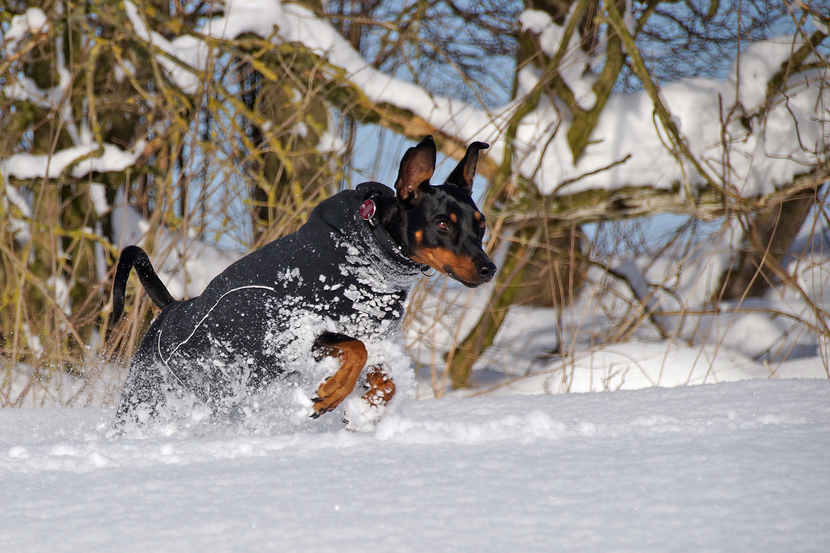 Und immer noch SCHNEE !!!