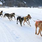 Und immer schön die Kurve kriegen