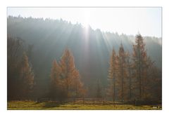 und immer wieder bricht die Sonne durch !