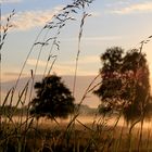 Und immer wieder geht die Sonne auf