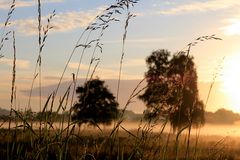 Und immer wieder geht die Sonne auf