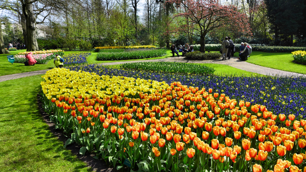 Und immer wieder Keukenhof