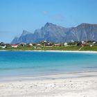 ..und immer wieder Lofoten!