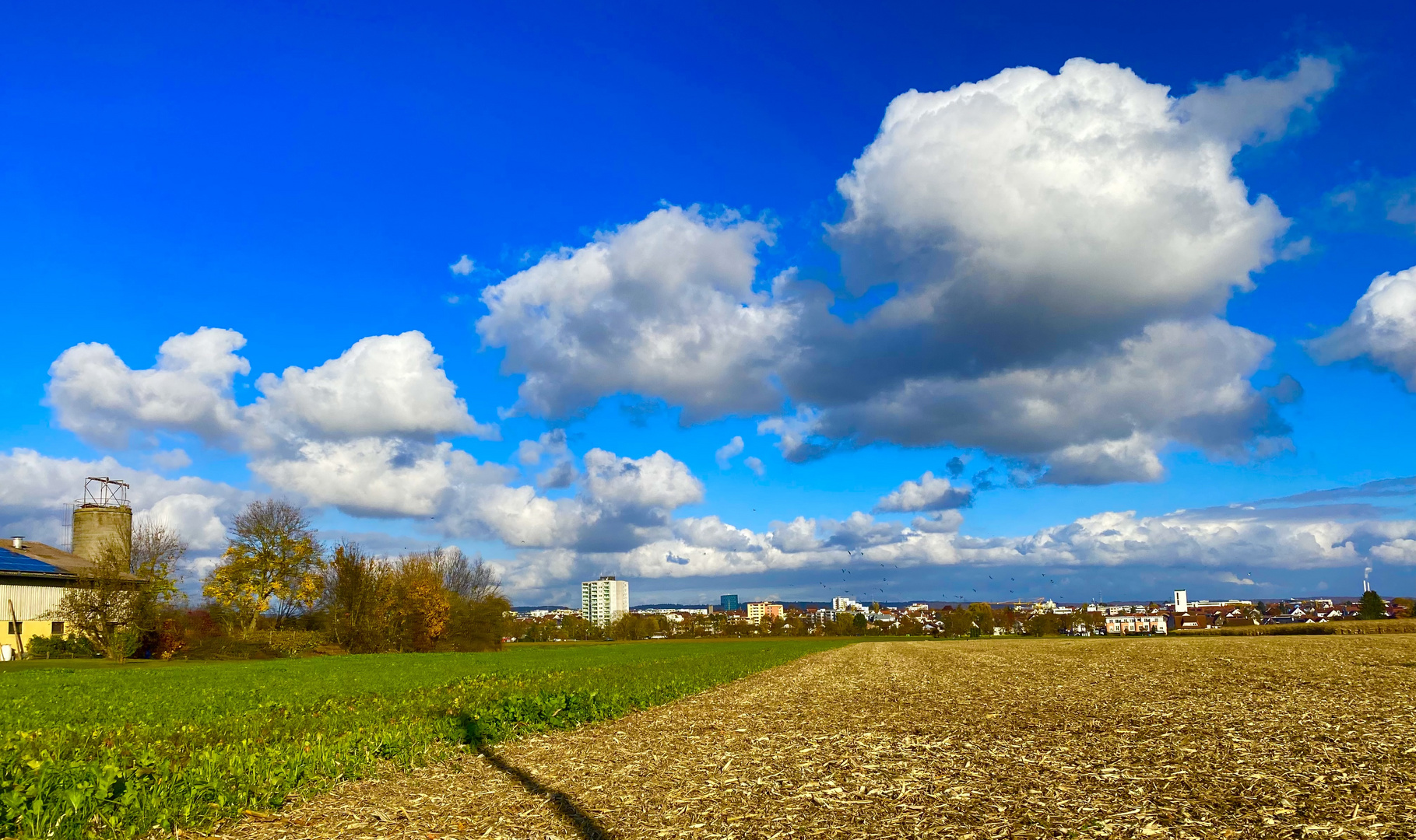 Und immer wieder mal reißt der Himmel auf und der Herbst zeigt sich von seiner besten Seite 