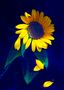 und immer wieder sonnenblumen von Liesl Stangl