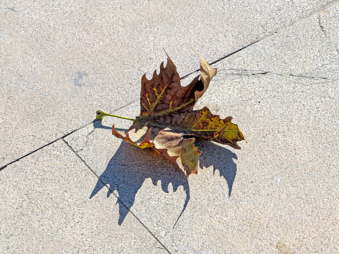 und in den Adern noch der Nachklang des Sommers / e nelle vene c'è ancora la risonanza dell'estate