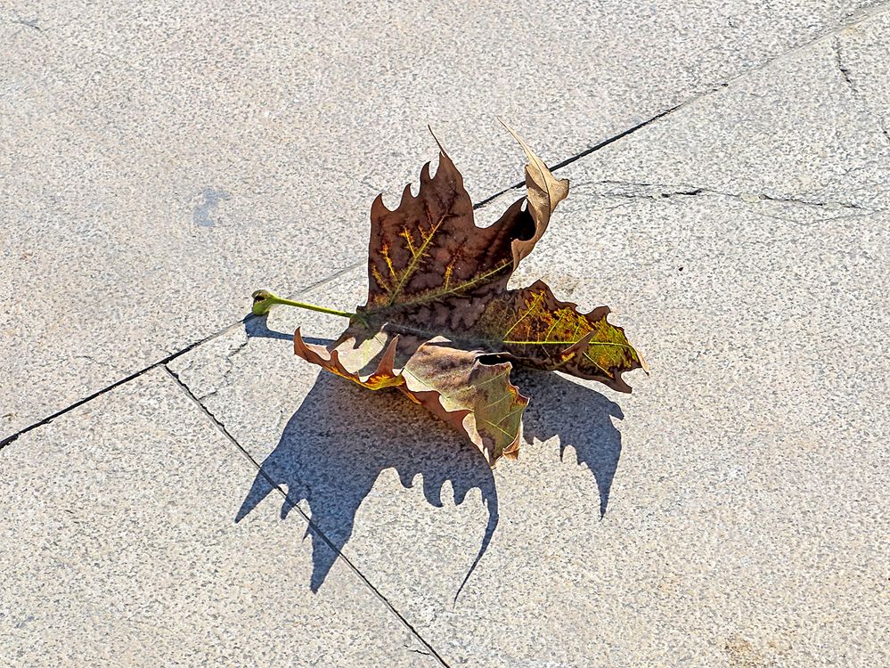 und in den Adern noch der Nachklang des Sommers / e nelle vene c'è ancora la risonanza dell'estate