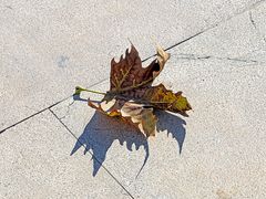 und in den Adern noch der Nachklang des Sommers / e nelle vene c'è ancora la risonanza dell'estate