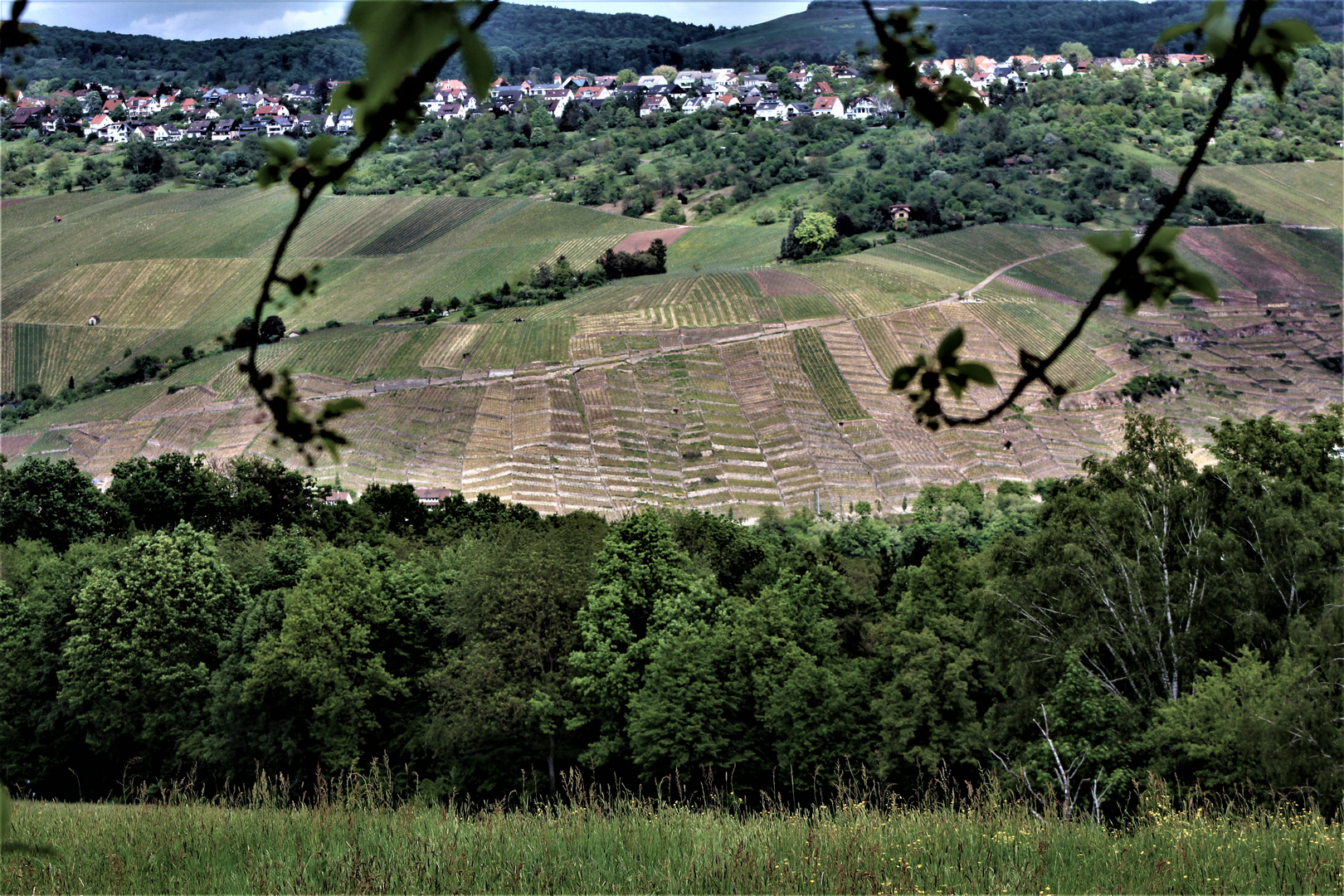 und in der Ferne Weinberge rund um Esslingen 