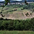 und in der Ferne Weinberge rund um Esslingen 