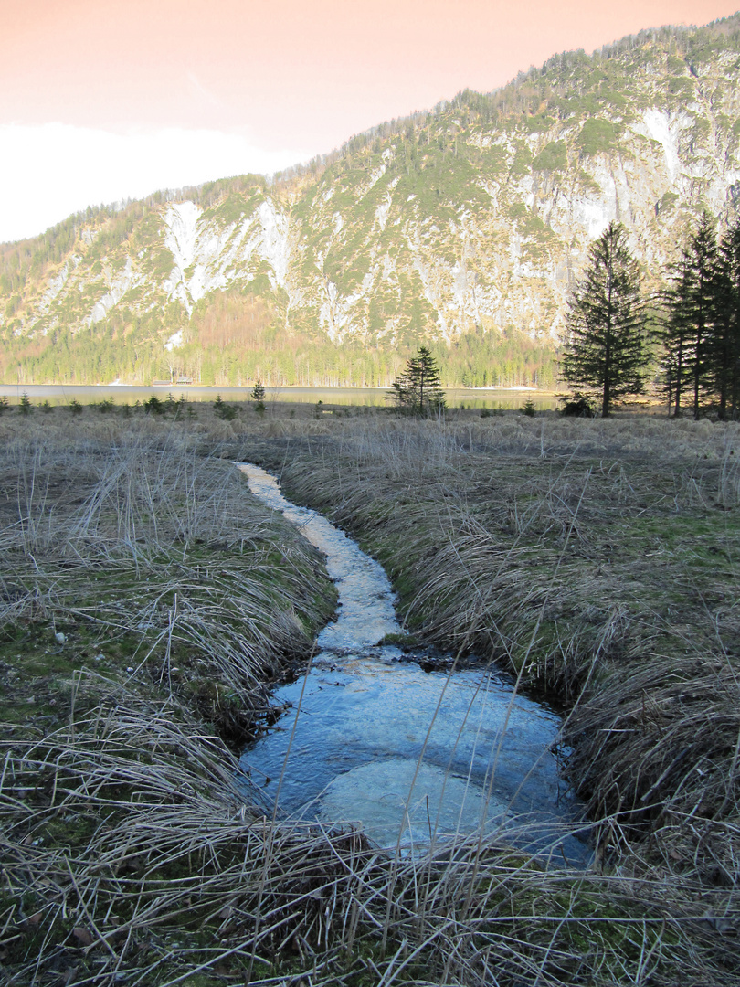 Und in der Mitte entspringt ein Fluss