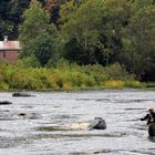 "Und in der Mitte entspringt ein Fluss" - Fliegenfischer im Potomac, Harpers Ferry, WV, USA