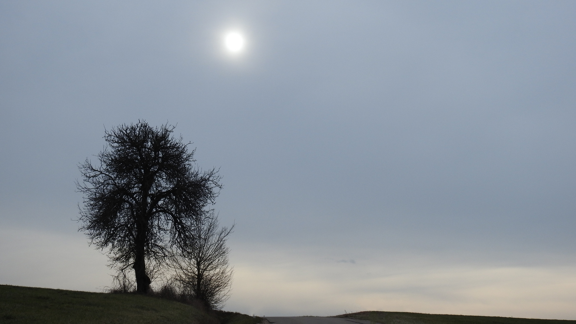 Und ist das Wetter noch so trübe,1