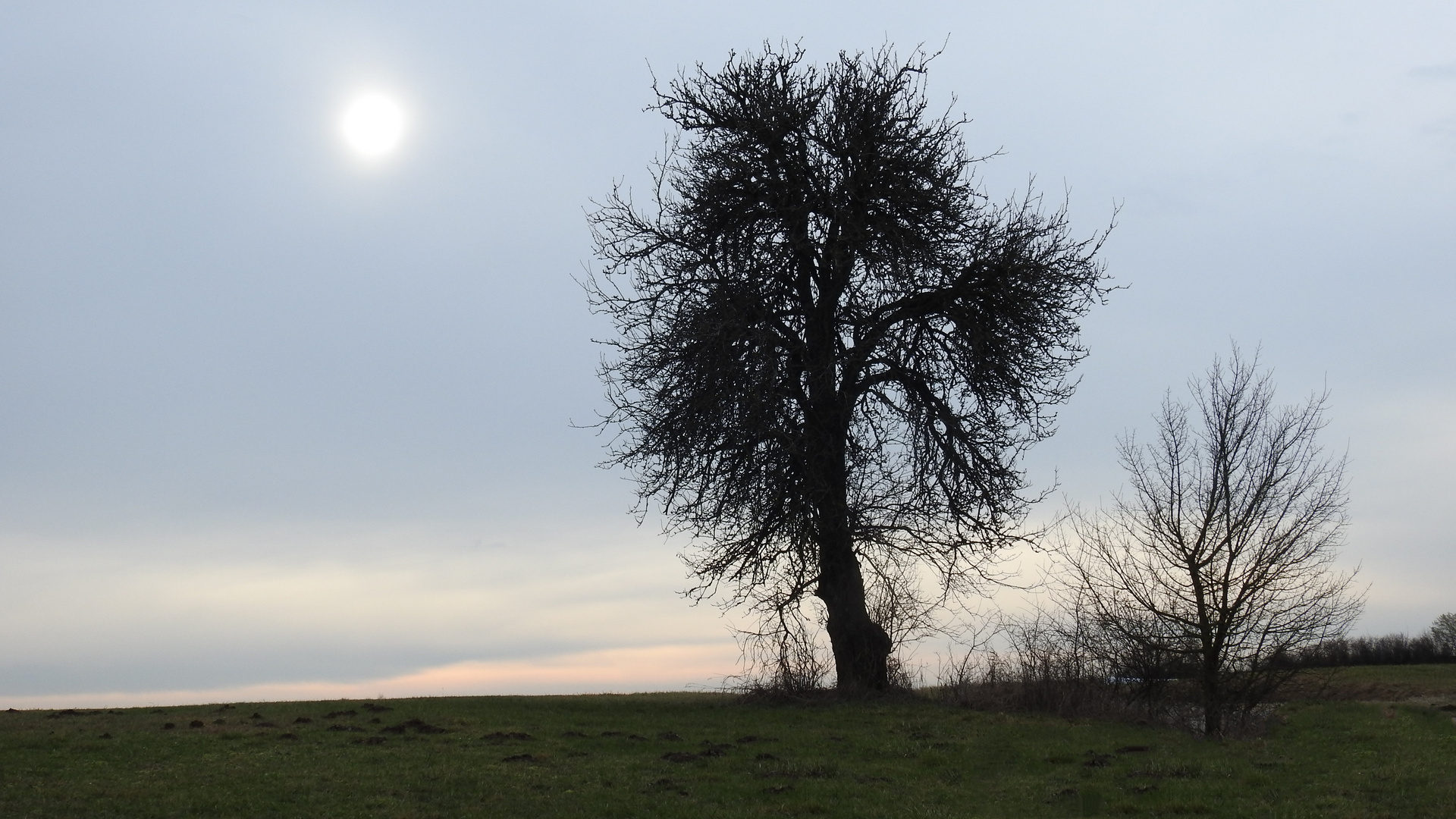 Und ist das Wetter noch so trübe,2