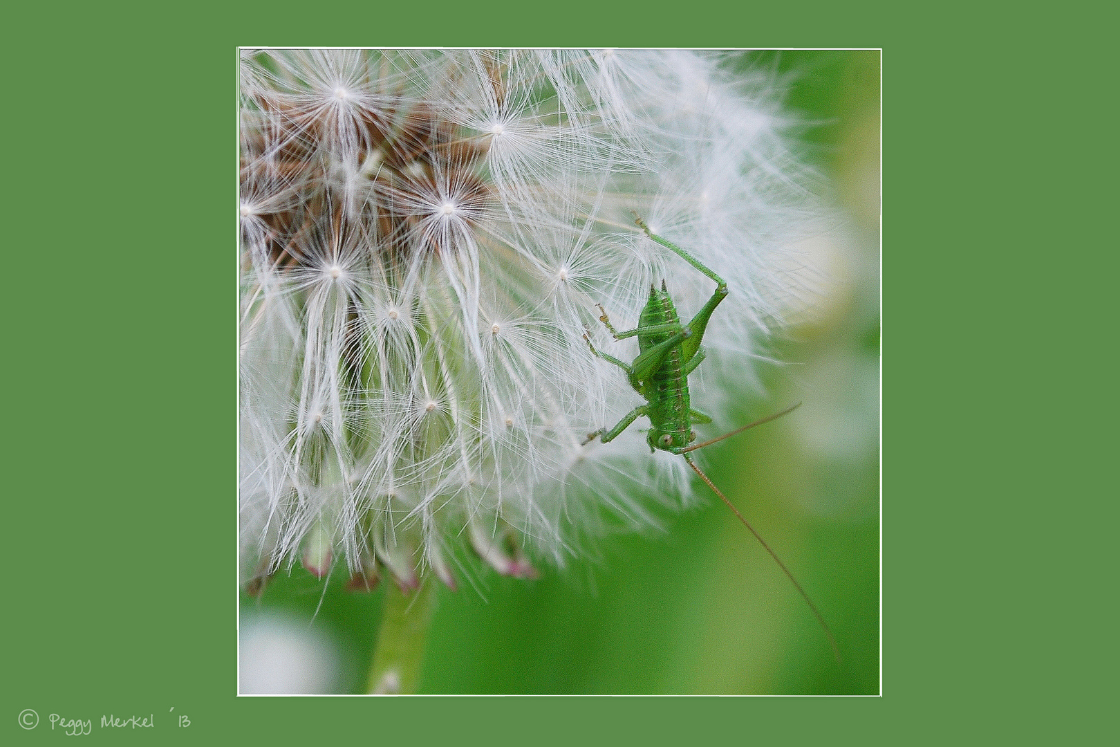 ... und jetzt: Absprung!