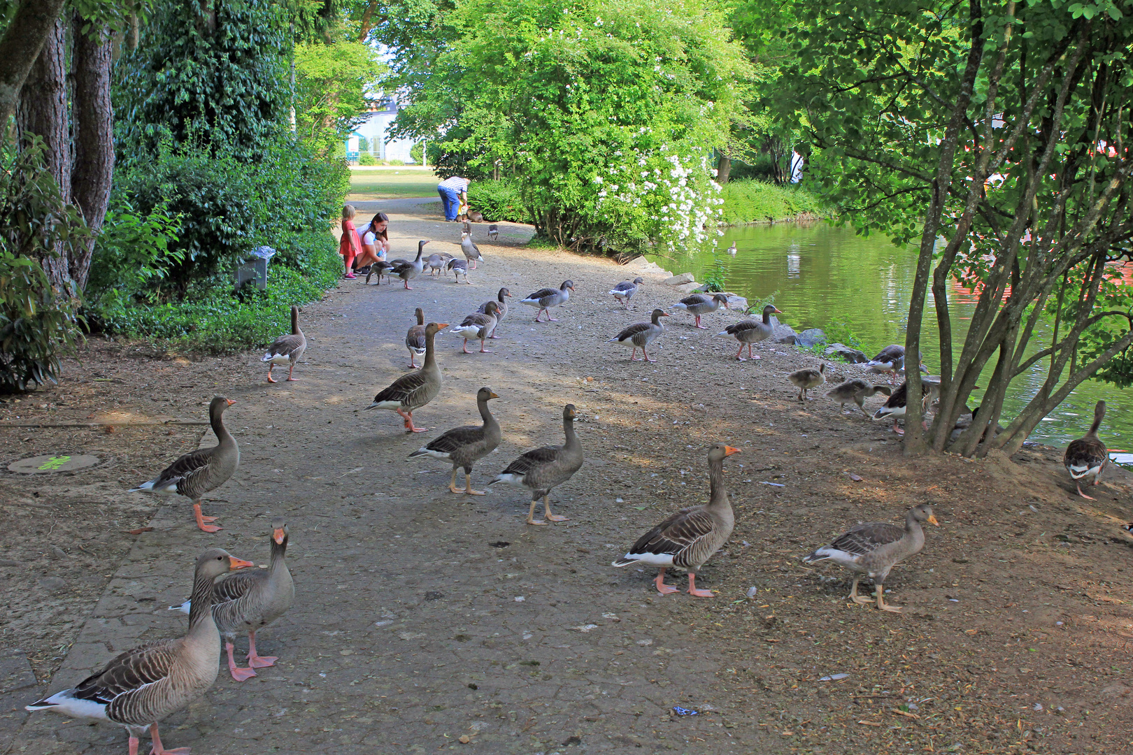 Und jetzt alle ins Wasser (Freizeitpark Wiehl)