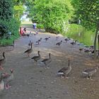 Und jetzt alle ins Wasser (Freizeitpark Wiehl)